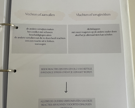 Werkboek Parallel Solo Ouderschap